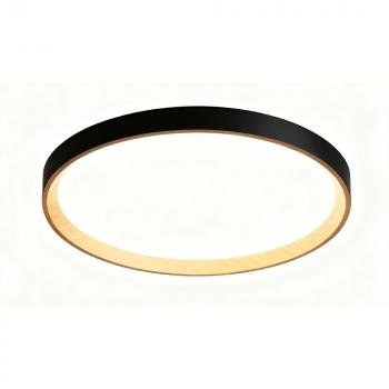 Camelion LBS-7740 (Управл. LED св-к,70 Вт.,3000К/4000К/6500К пульт ДУ)