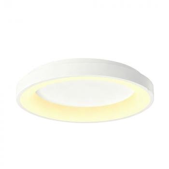 Camelion LBS-7741 (Управл. LED св-к,48 Вт.,3000К/4000К/6500К пульт ДУ)